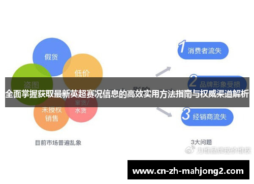 全面掌握获取最新英超赛况信息的高效实用方法指南与权威渠道解析 全面掌握获取最新英超赛况信息的高效实用方法指南与权威渠道解析